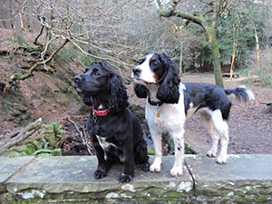 January 2017 Photo 17